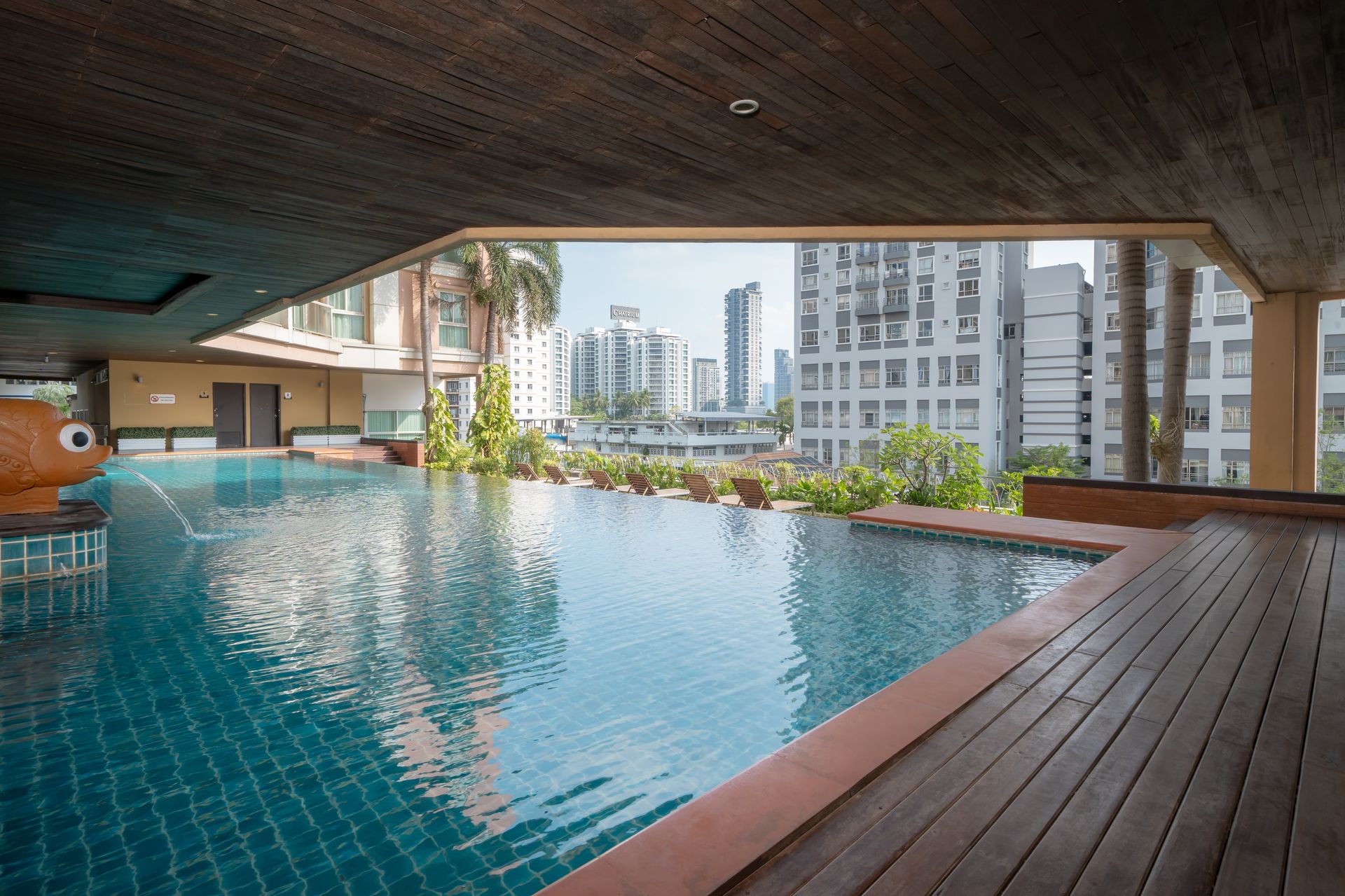 Hotel pool and outdoor facilities view